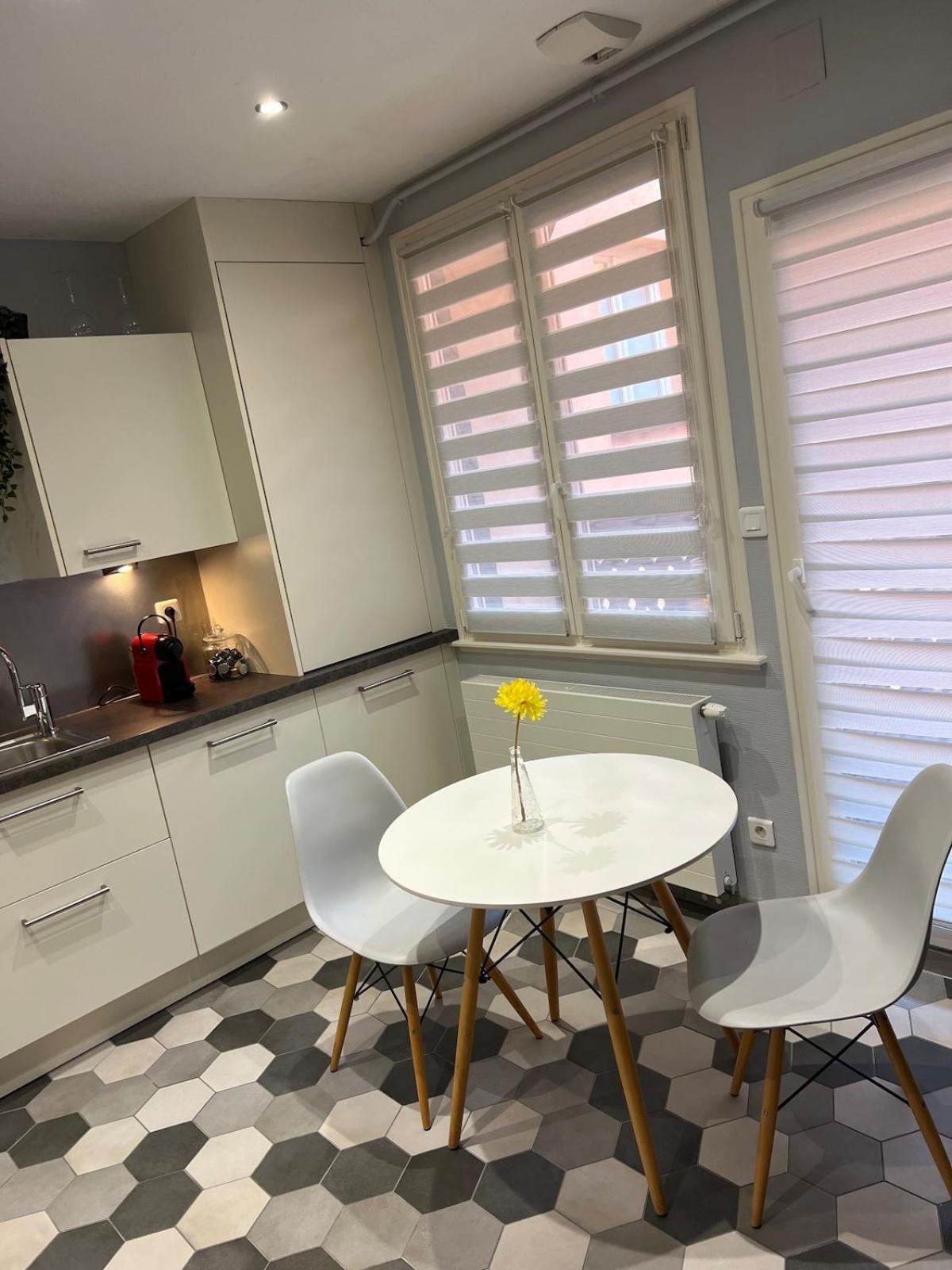 Appartement Nid Douillet Au Coeur Du Centre Historique Colmar